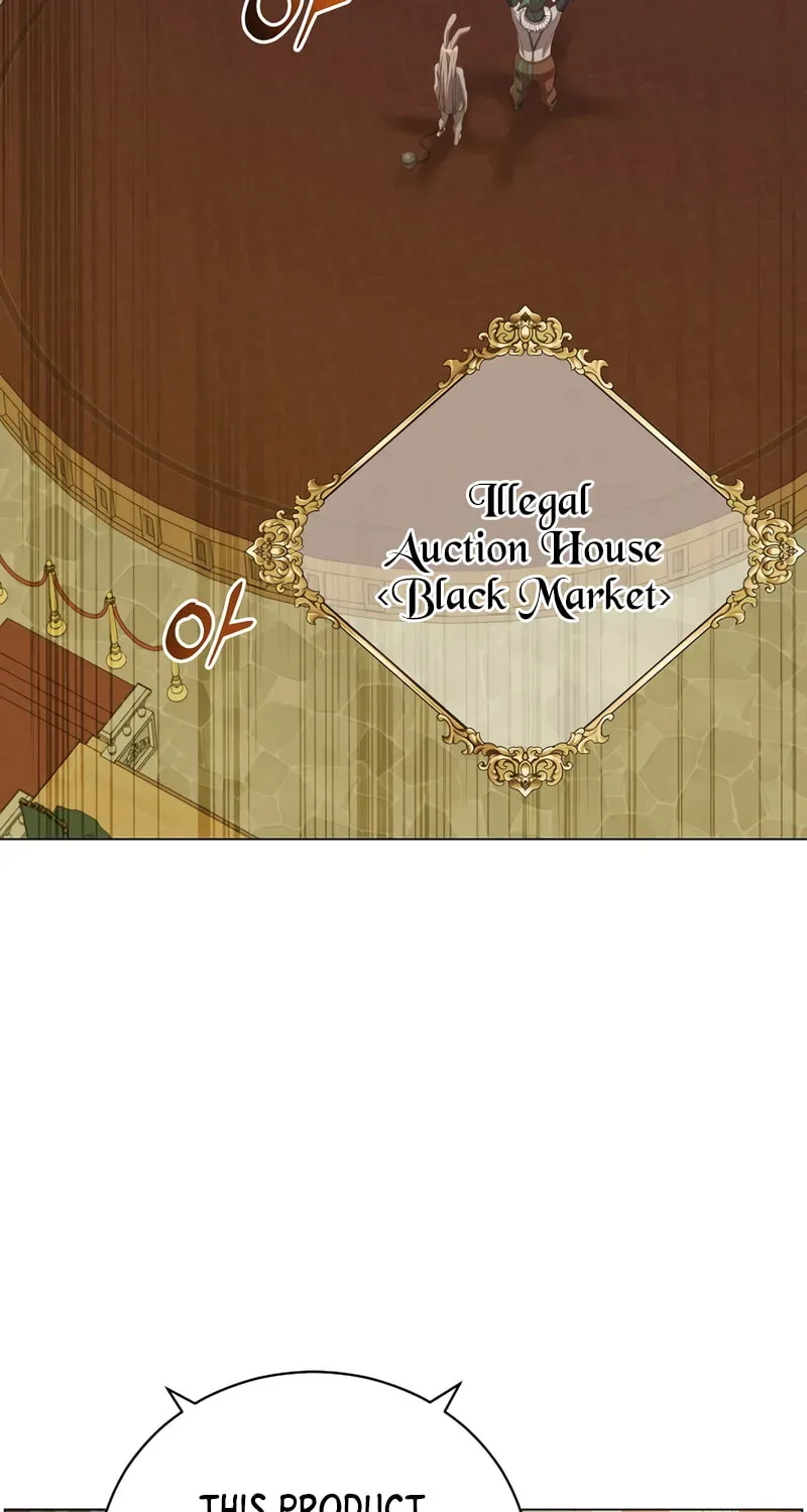 Read The Max Level Hero Has Returned! chapter 4.1 image 25 on Lezhin
