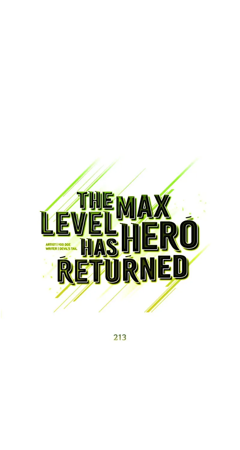 Read The Max Level Hero Strikes Back! chapter 213 image 13 on Lezhin