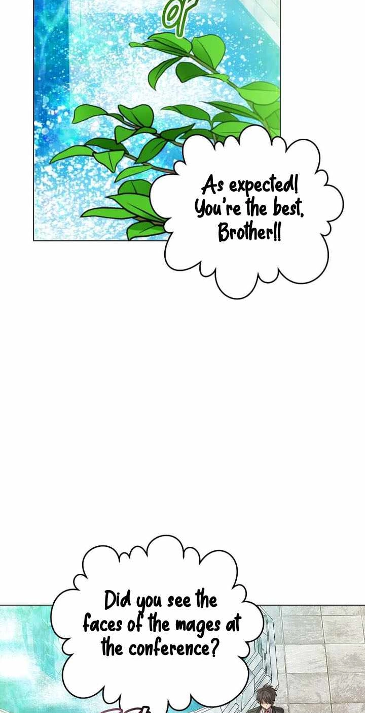 The Max Level Hero Strikes Back! Chapter 249 page 29 - 