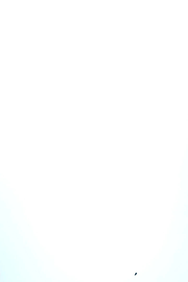 Read The Max Level Returner chapter 200 image 95 on Lezhin