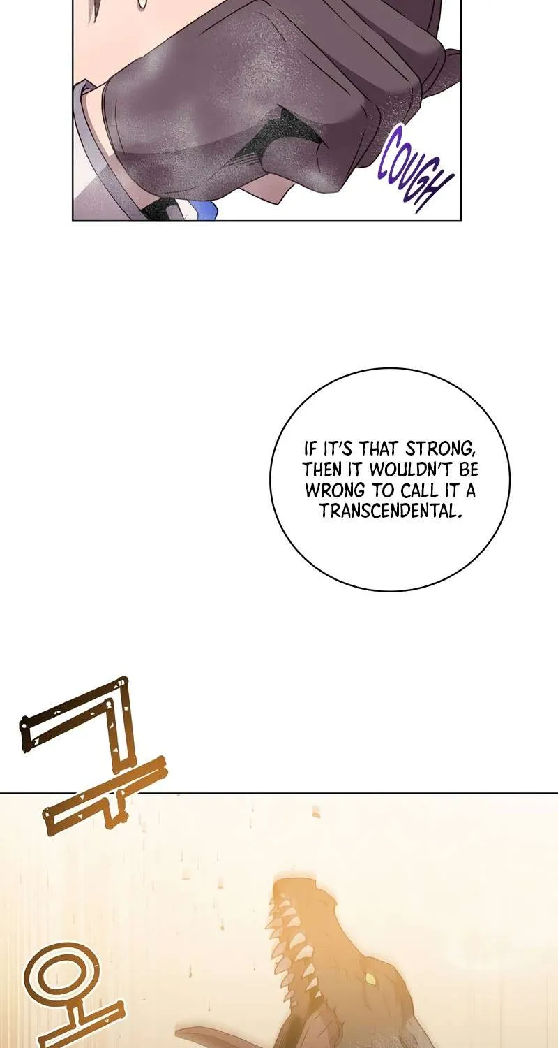 Read The MAX leveled hero will return! chapter 112 image 8 on Lezhin