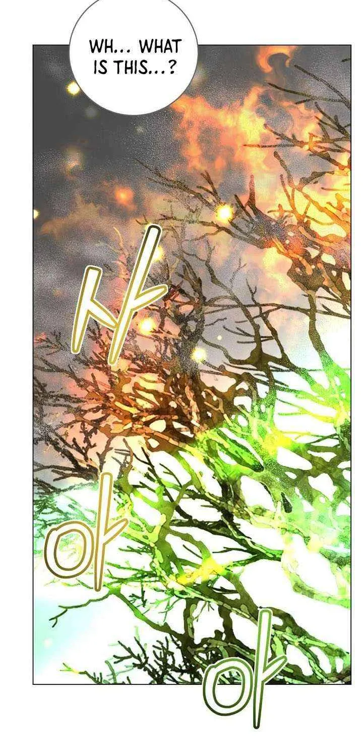 Read The MAX leveled hero will return! chapter 188 image 74 on Lezhin