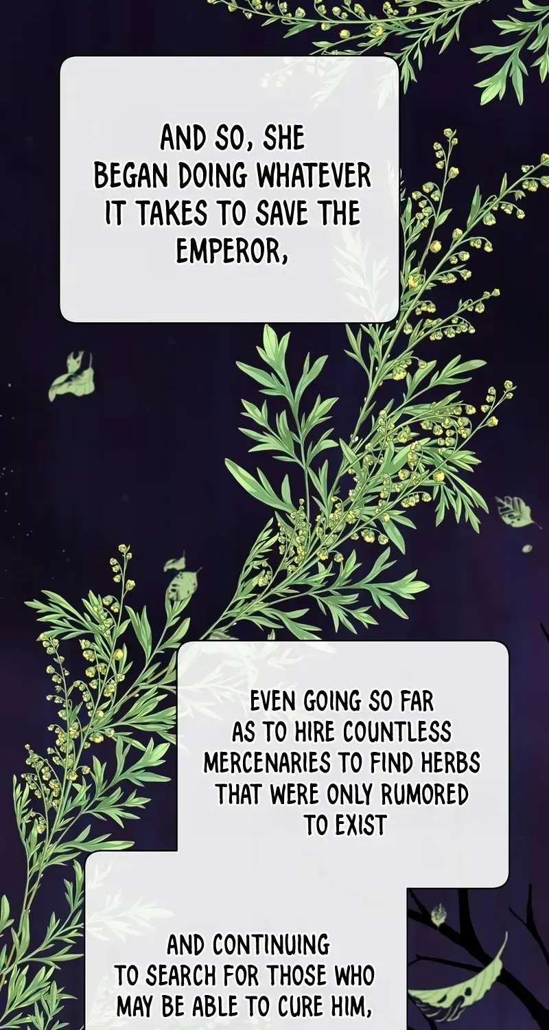 Read The MAX leveled hero will return! chapter 204 image 5 on Lezhin