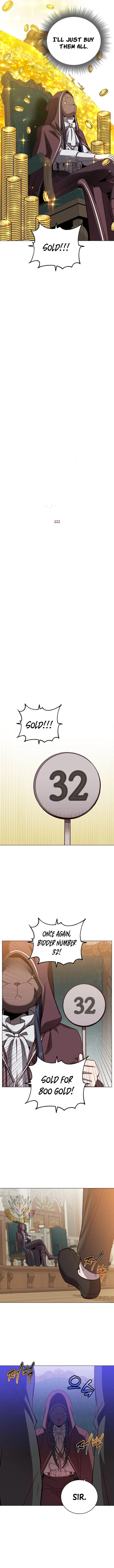 Read The MAX leveled hero will return! chapter 222 image 6 on Lezhin