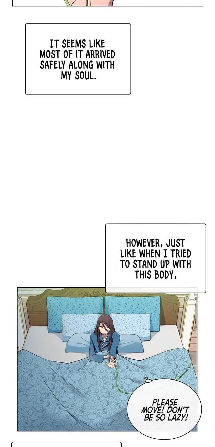 Read The MAX leveled hero will return! chapter 3 image 11 on Lezhin