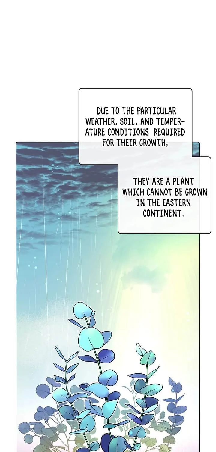 Read The MAX leveled hero will return! chapter 37 image 2 on Lezhin
