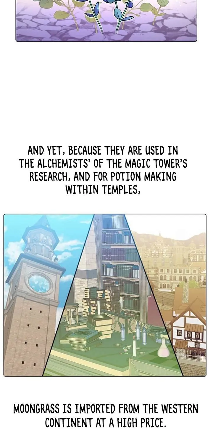 Read The MAX leveled hero will return! chapter 37 image 3 on Lezhin
