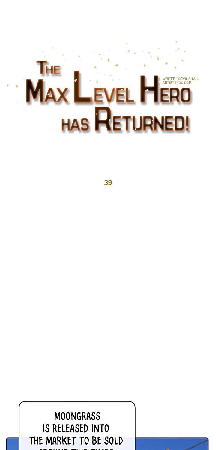 Read The MAX leveled hero will return! chapter 39 image 16 on Lezhin