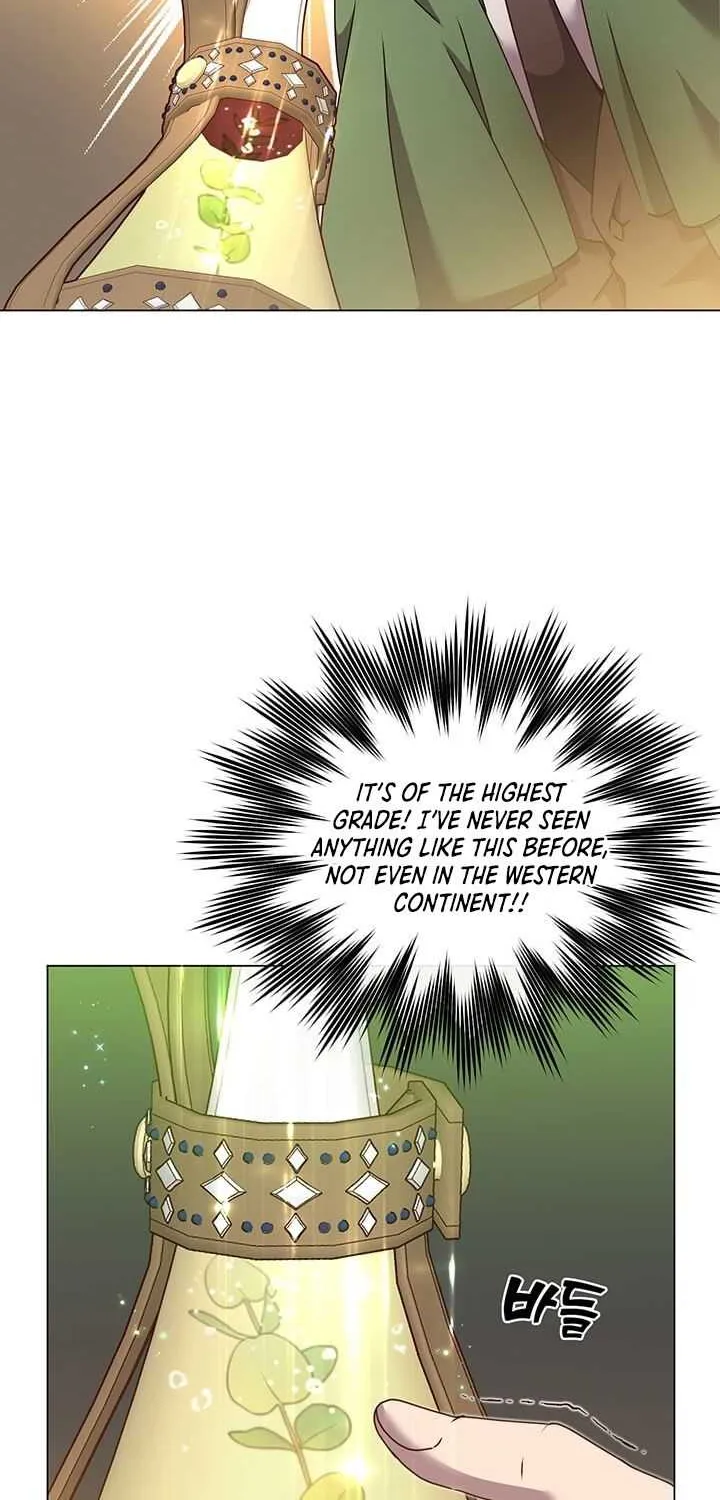 Read The MAX leveled hero will return! chapter 40 image 13 on Lezhin
