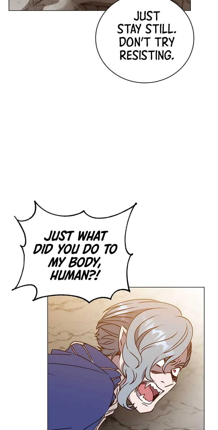 Read The MAX leveled hero will return! chapter 55 image 36 on Lezhin