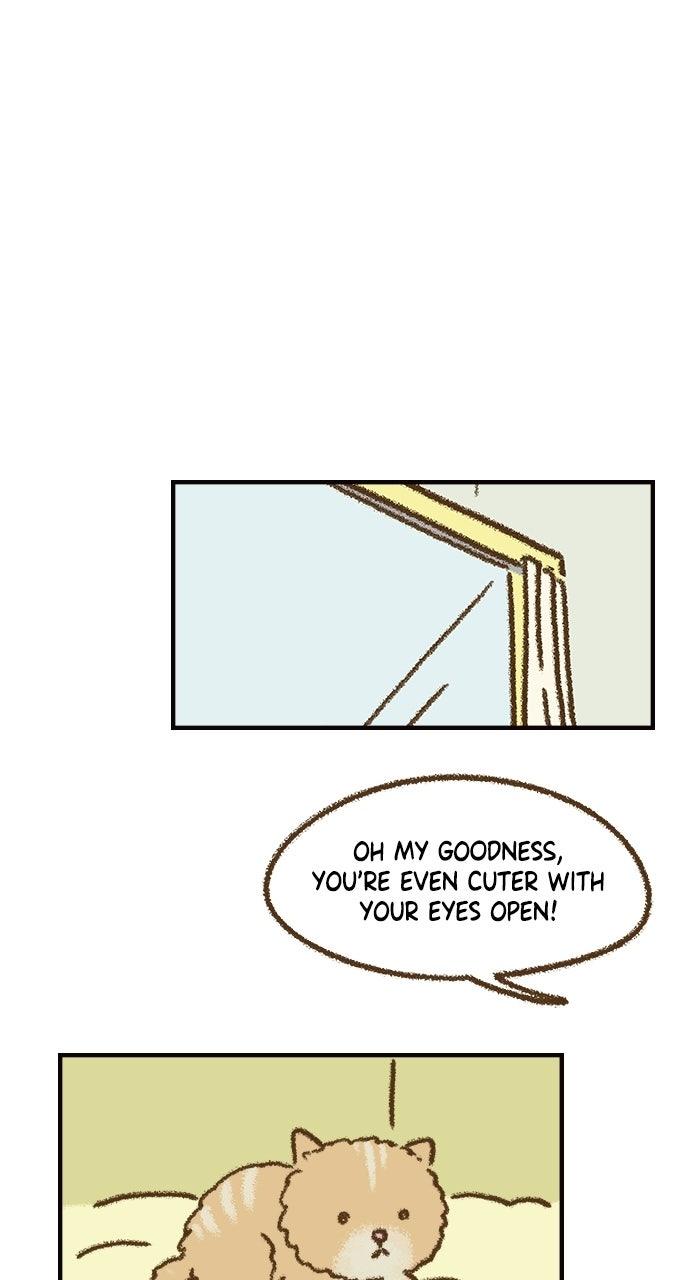 The Memory Shop Chapter 82 page 27 - 