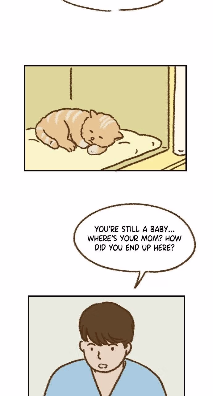 The Memory Shop Chapter 92 page 33 - 