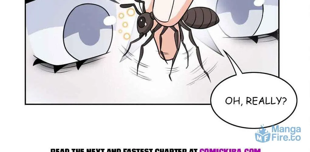 The Mighty Warrior From A Mental Hospital Chapter 19 page 41 - 