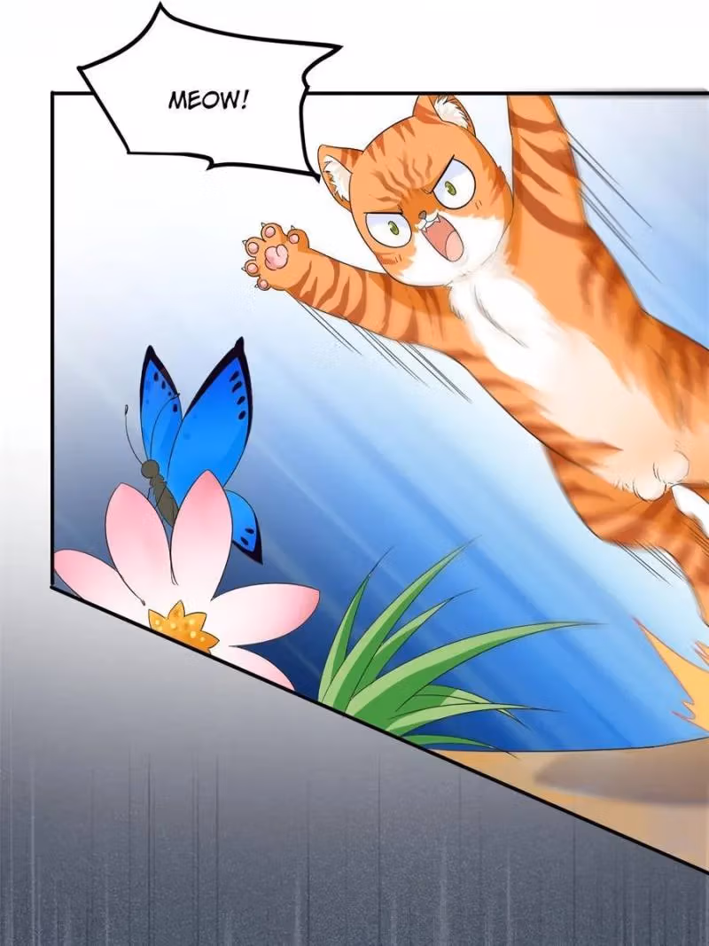 The Mighty Warrior From A Mental Hospital Chapter 194 page 16 - 