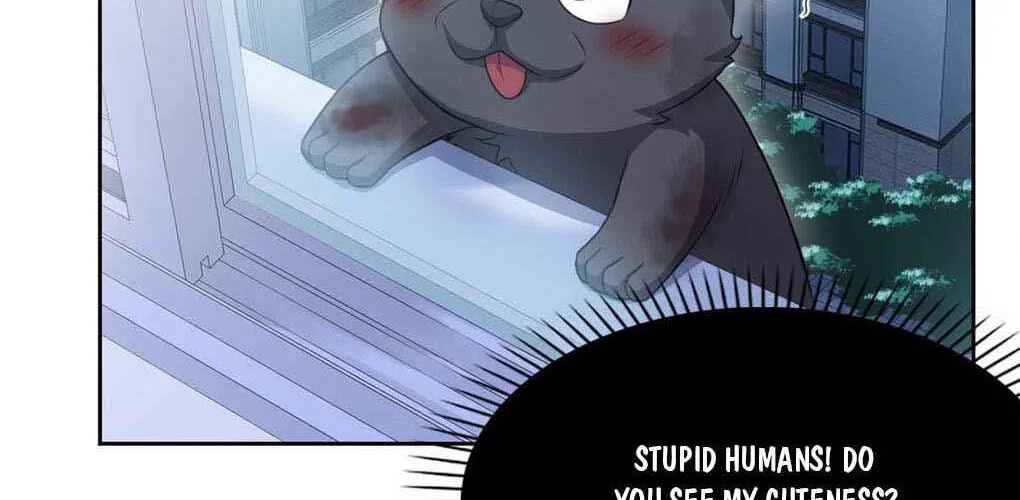 The Mighty Warrior From A Mental Hospital Chapter 21 page 37 - 