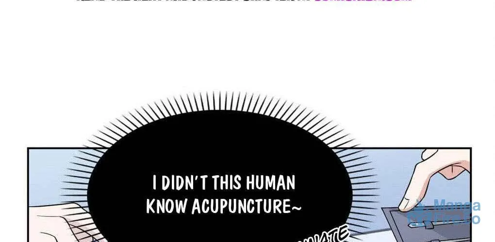 The Mighty Warrior From A Mental Hospital Chapter 21 page 47 - 