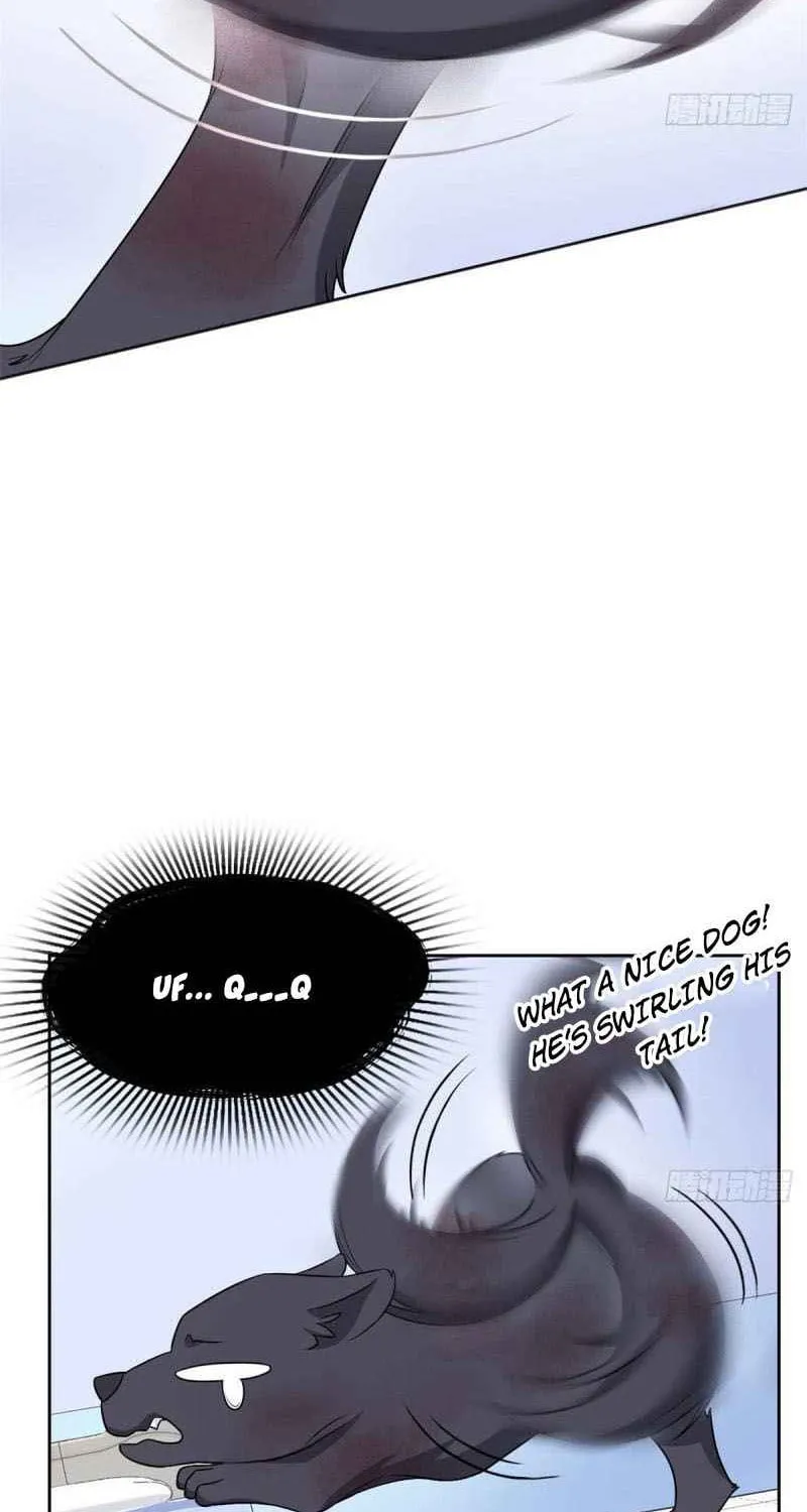 The Mighty Warrior From A Mental Hospital Chapter 23 page 24 - 