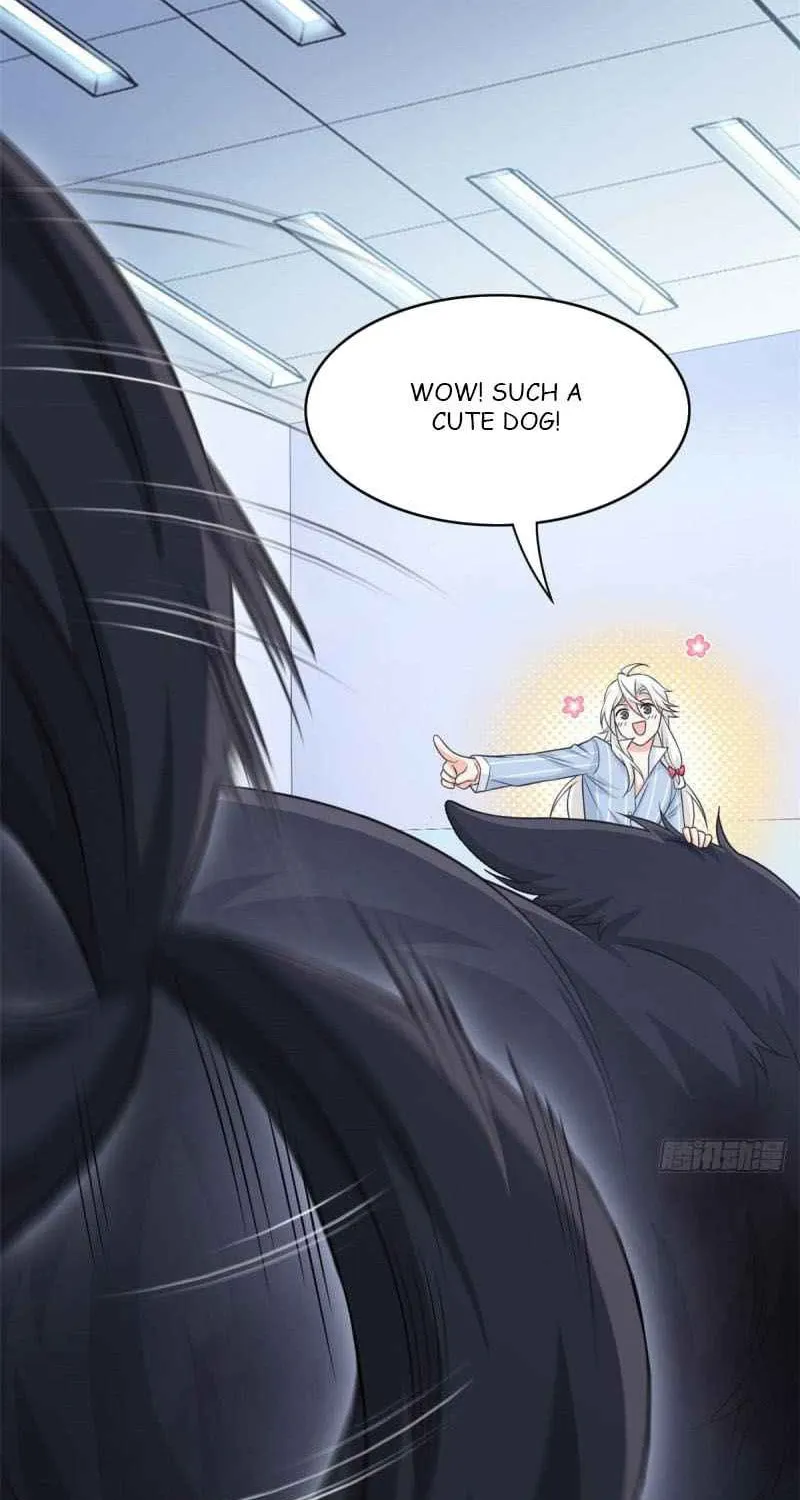 The Mighty Warrior From A Mental Hospital Chapter 23 page 26 - 
