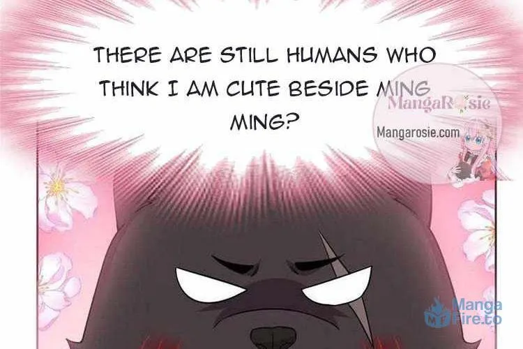 The Mighty Warrior From A Mental Hospital Chapter 62 page 35 - 