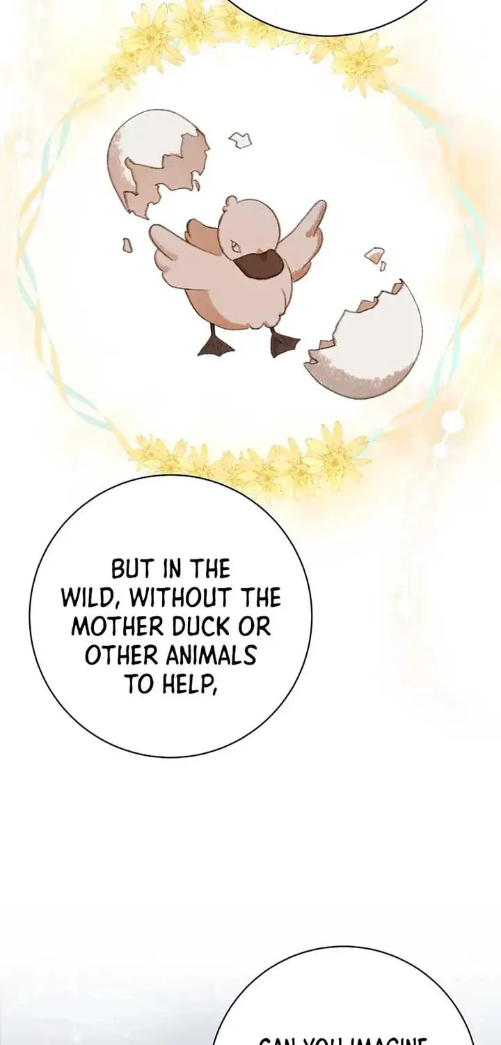 The Miraculous Physical Therapist Chapter 64 page 76 - 