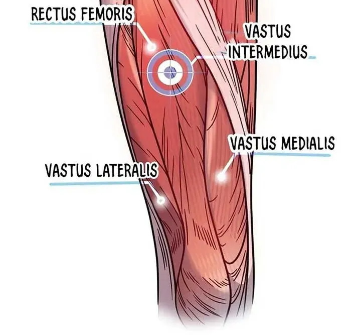 The Miraculous Physical Therapist Chapter 72 page 30 - 