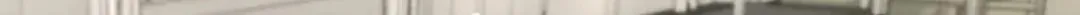 The Miraculous Physical Therapist Chapter 80 page 34 - 