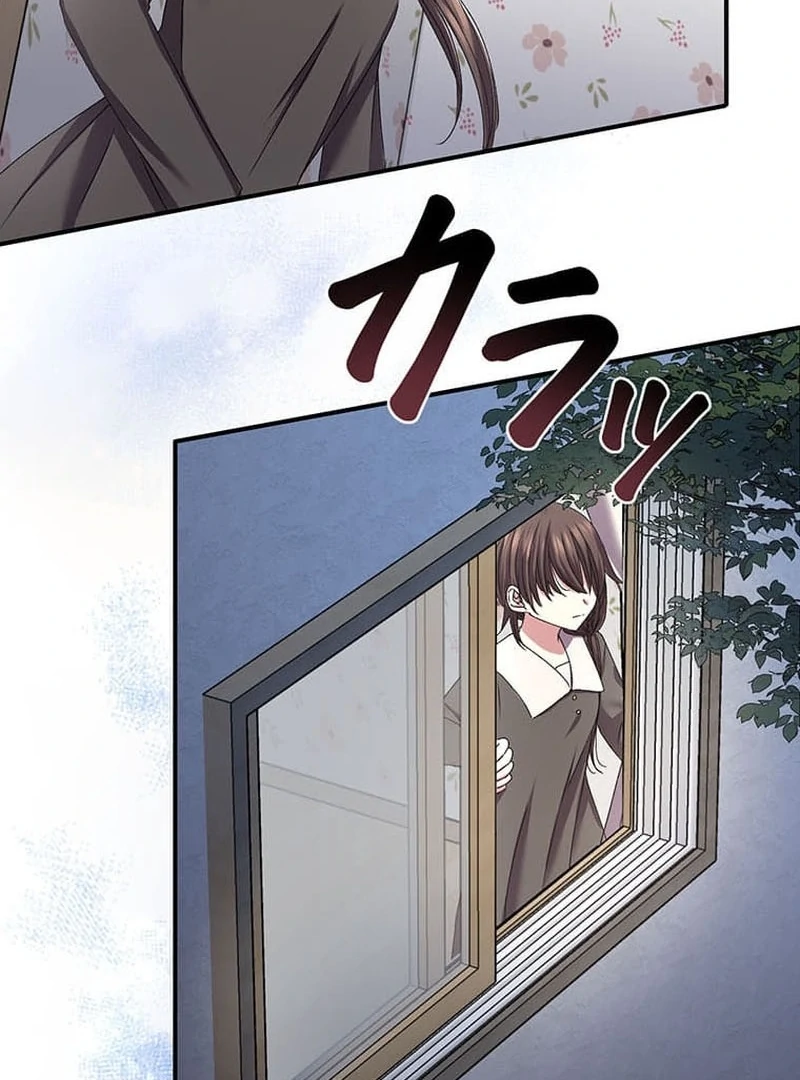 The Mirror of Janus Chapter 21 page 90 - 