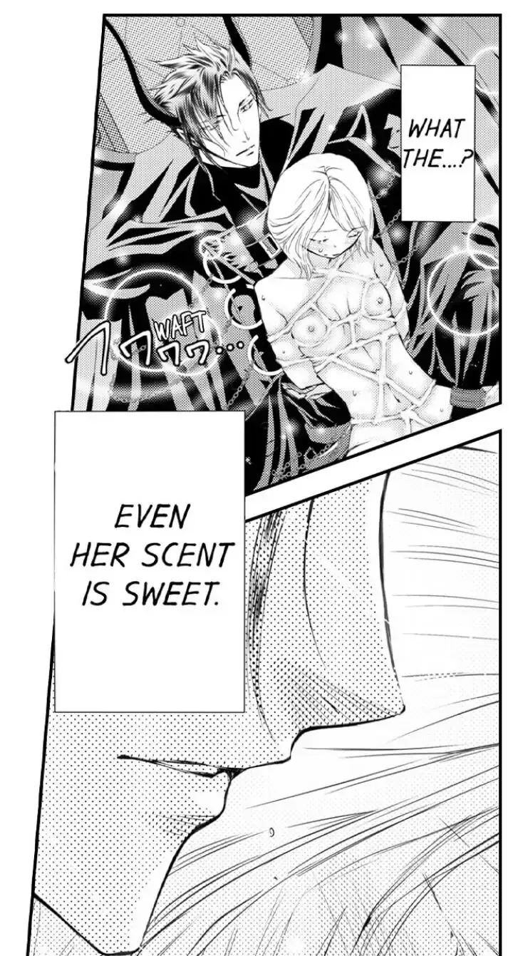 Read The Mischievous Incubus chapter 101 image 13 on Lezhin