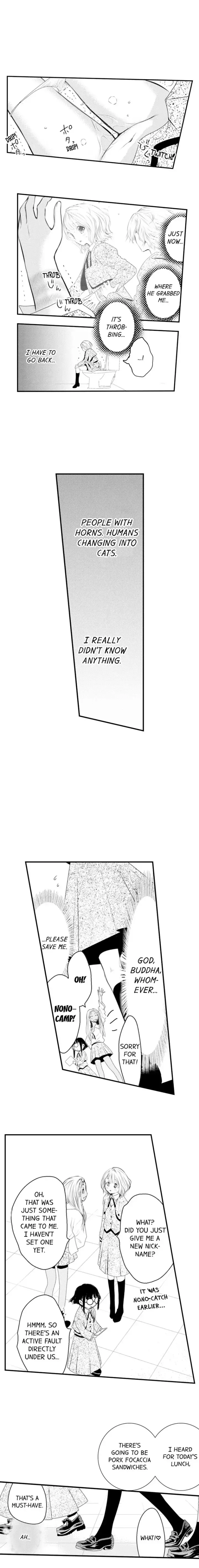 Read The Mischievous Incubus chapter 16 image 8 on Lezhin