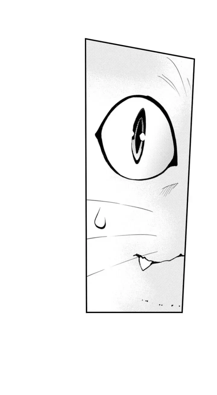 Read The Mischievous Incubus chapter 58 image 11 on Lezhin