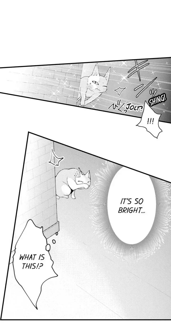 Read The Mischievous Incubus chapter 58 image 8 on Lezhin