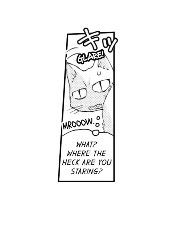 Read The Mischievous Incubus chapter 85 image 16 on Lezhin