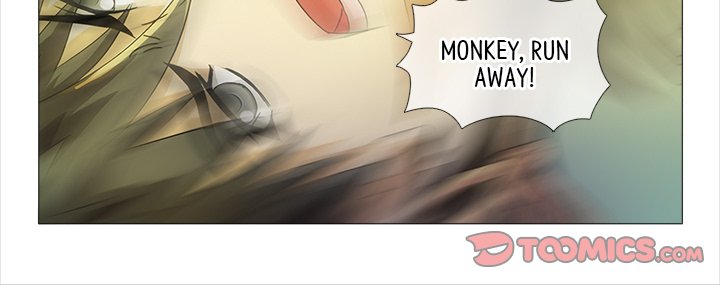 Read The Monkey King
