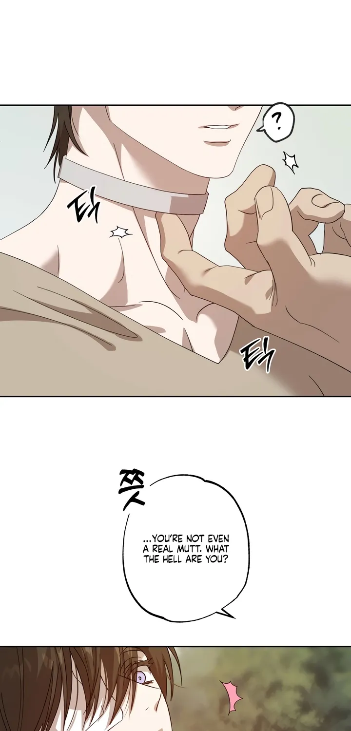 Read The Monster Sleeping in the Forest chapter 2 image 54 on Lezhin