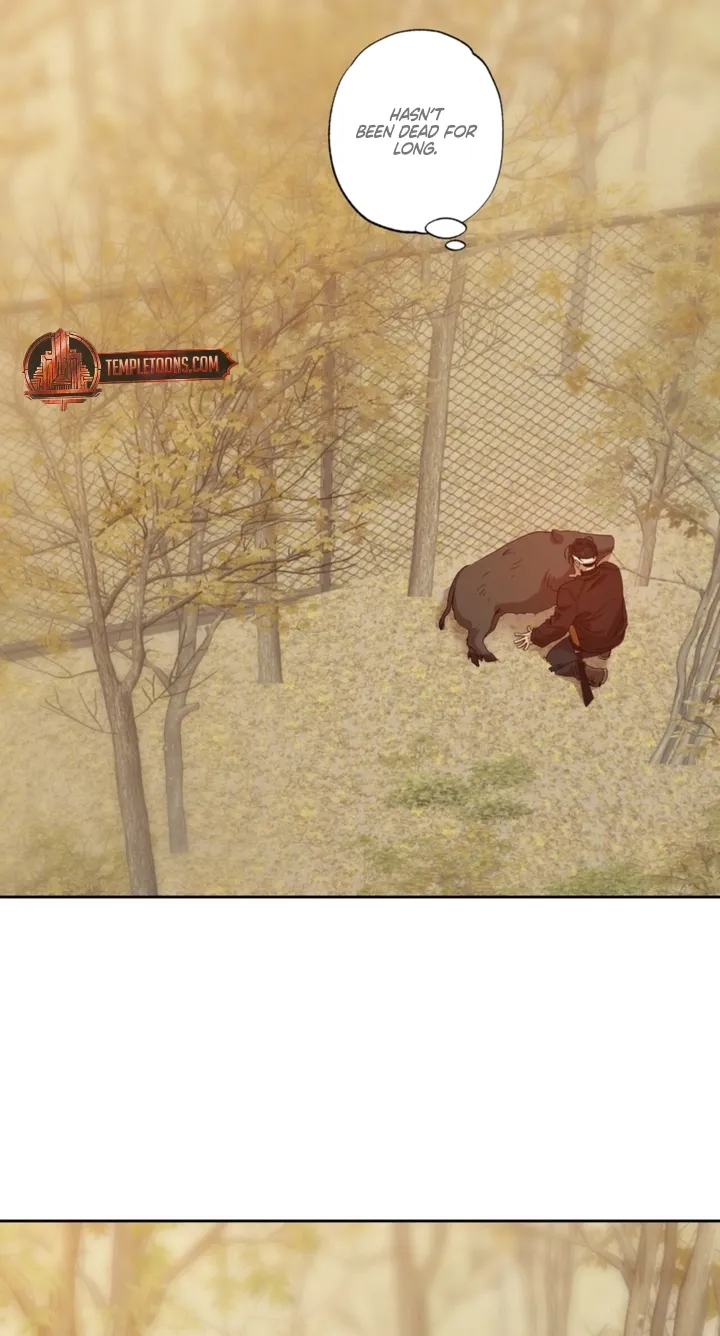 Read The Monster Sleeping in the Forest chapter 29 image 7 on Lezhin