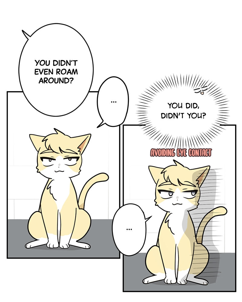 The Most Ordinary Girl Chapter 11 page 24 - 