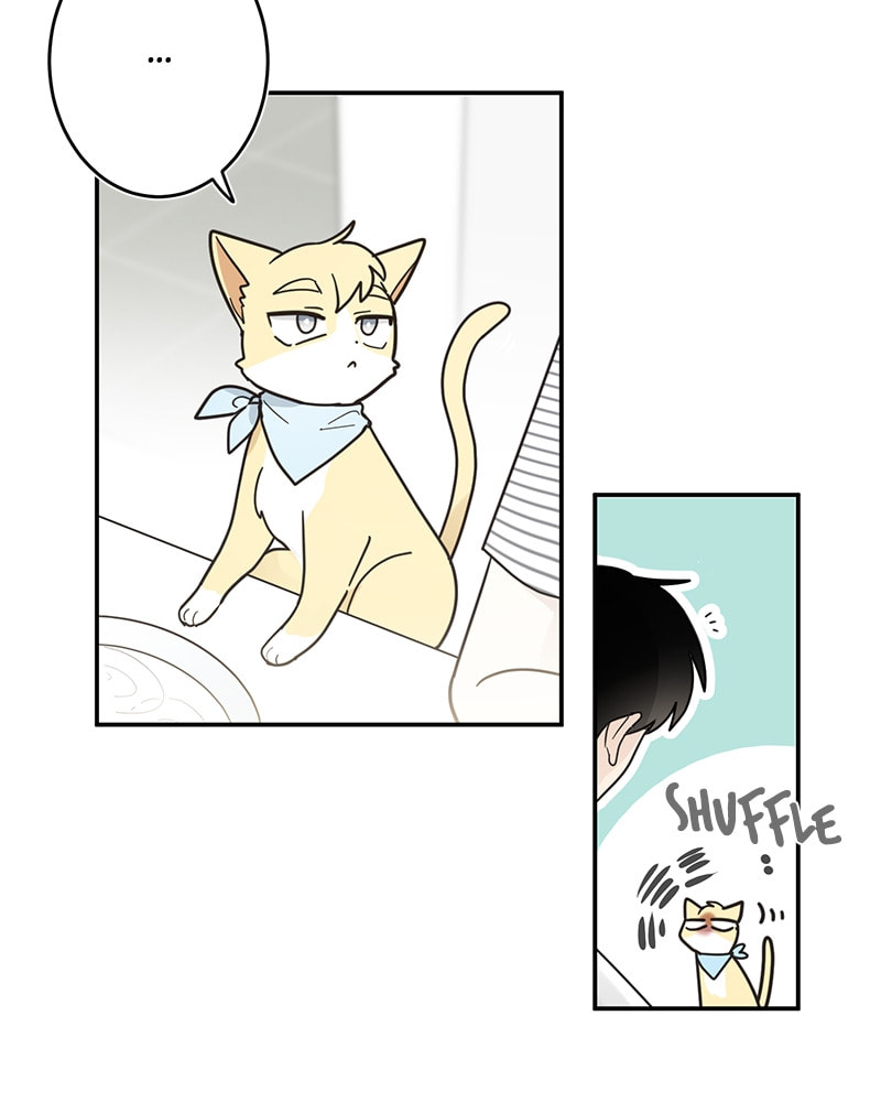 The Most Ordinary Girl Chapter 11 page 45 - 