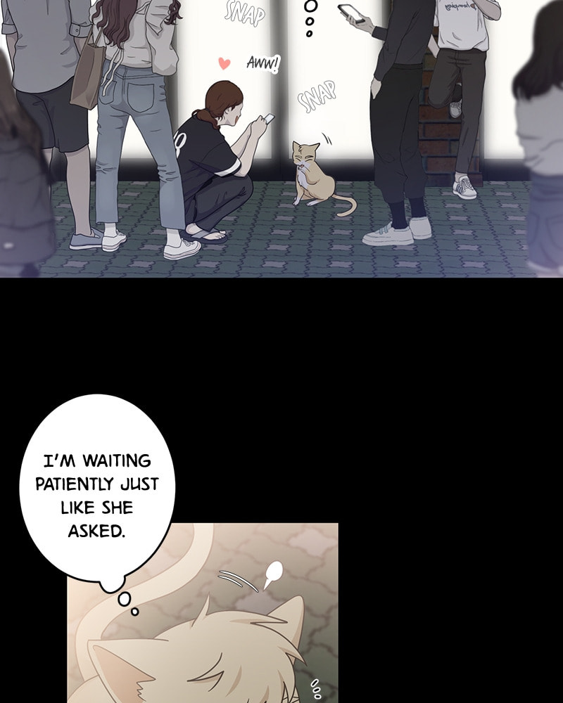 The Most Ordinary Girl Chapter 12 page 49 - 