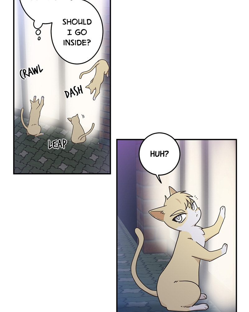 The Most Ordinary Girl Chapter 13 page 12 - 