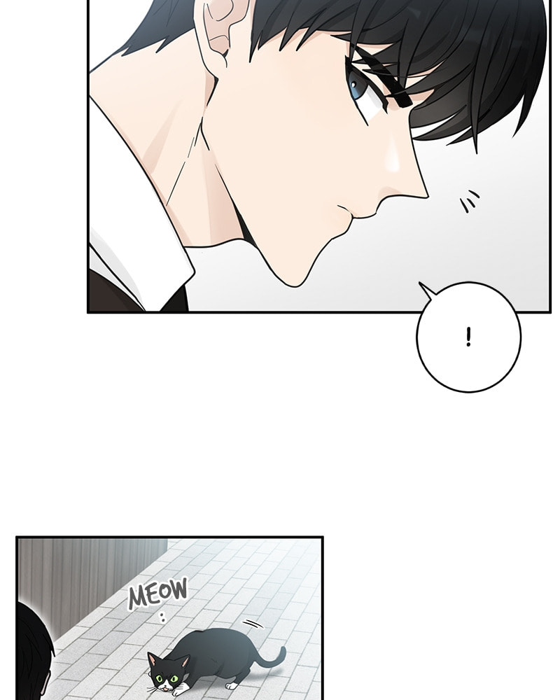 The Most Ordinary Girl Chapter 17 page 6 - 