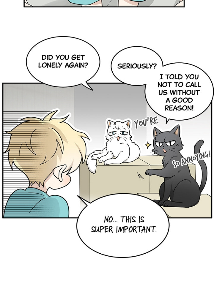 The Most Ordinary Girl Chapter 21 page 4 - 