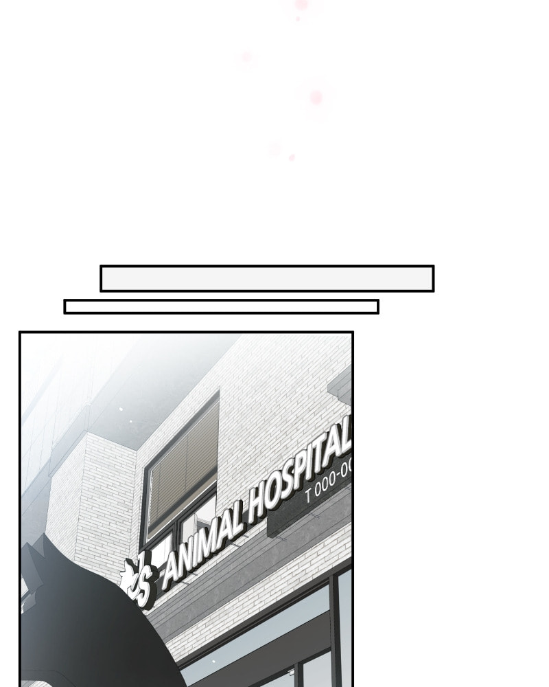 The Most Ordinary Girl Chapter 30 page 50 - 