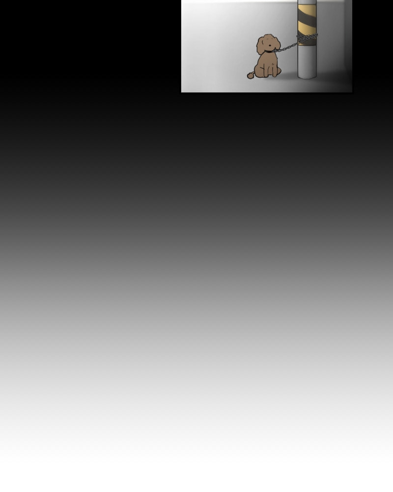 The Most Ordinary Girl Chapter 36 page 62 - 