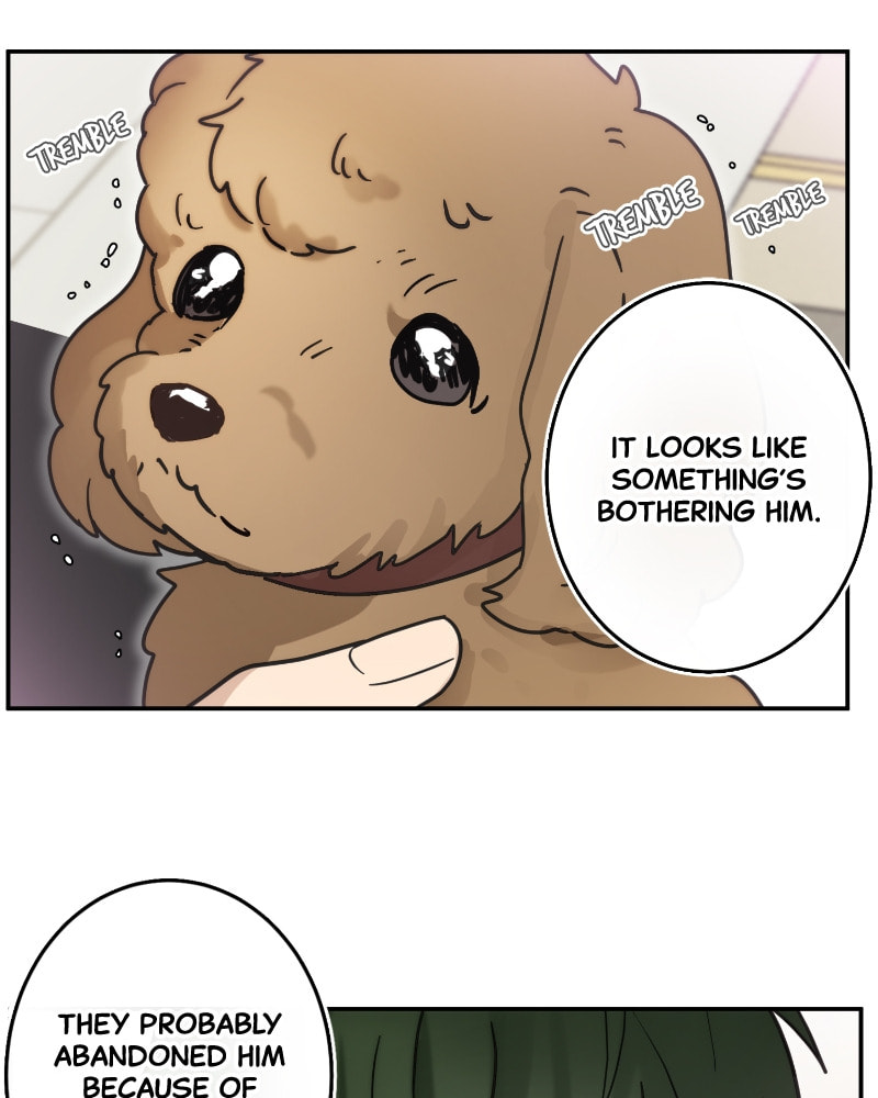 The Most Ordinary Girl Chapter 36 page 65 - 