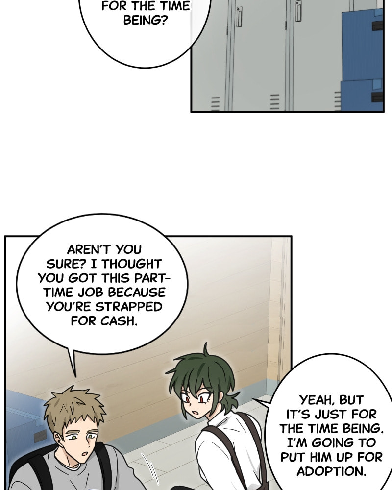 The Most Ordinary Girl Chapter 37 page 45 - 