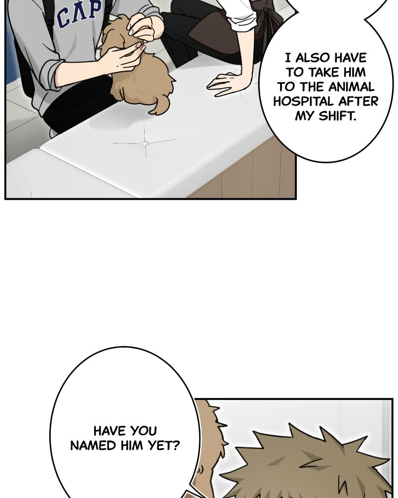 The Most Ordinary Girl Chapter 37 page 46 - 