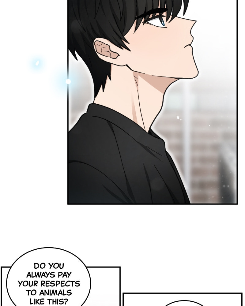 The Most Ordinary Girl Chapter 39 page 57 - 
