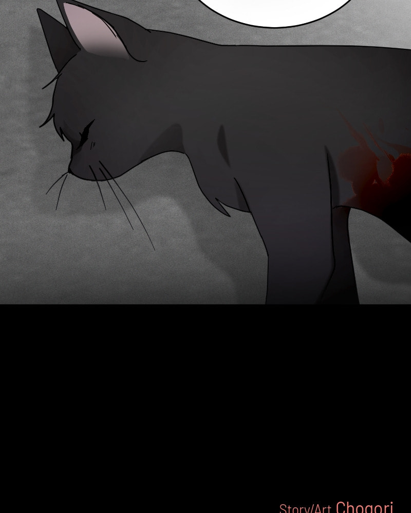 The Most Ordinary Girl Chapter 39 page 70 - 