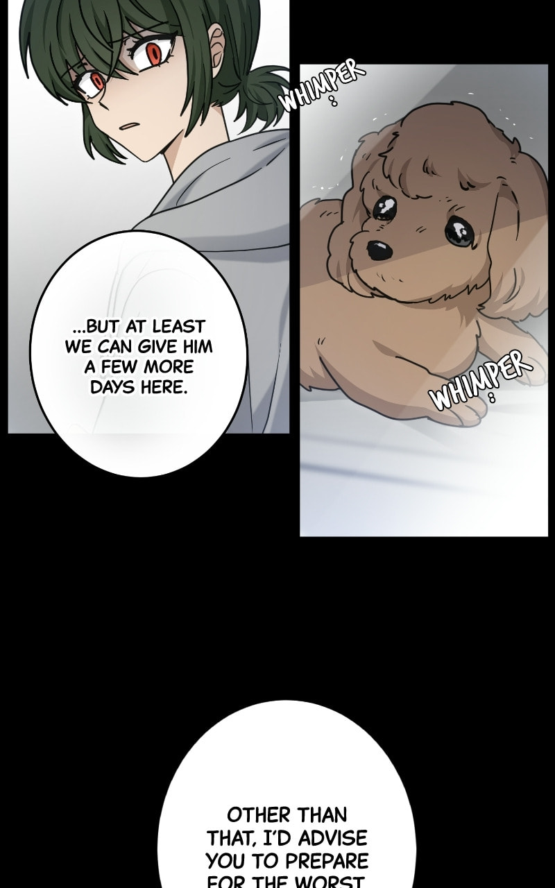 The Most Ordinary Girl Chapter 44 page 35 - 
