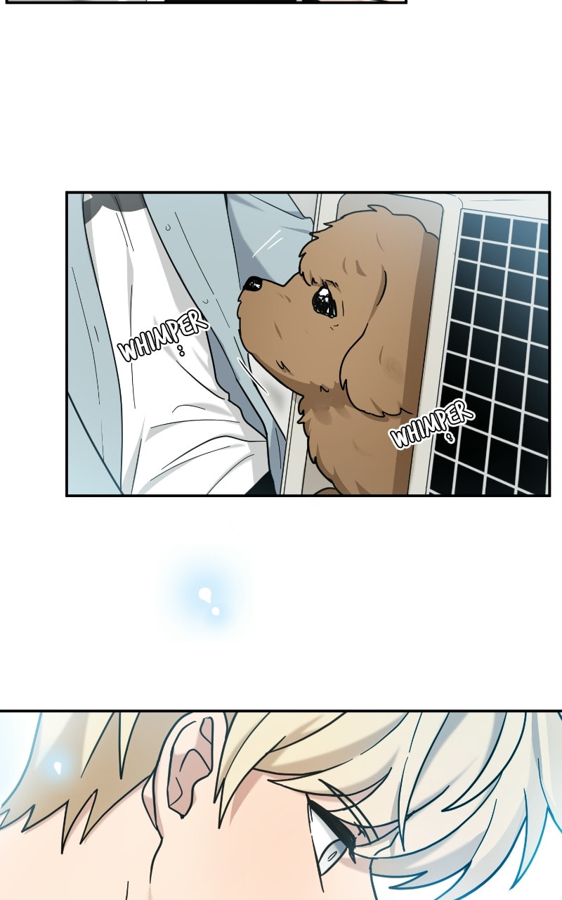 The Most Ordinary Girl Chapter 45 page 11 - 
